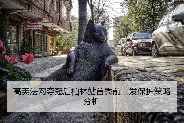 gao-fu-fa-wang-duo-guan-hou-bo-lin-zhan-shou-xiu-qian-er-fa-bao-hu-ce-lve-fen-xi-2-649.jpg