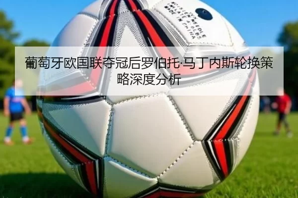 pu-tao-ya-ou-guo-lian-duo-guan-hou-luo-bo-tuo-ma-ding-nei-si-lun-huan-ce-lve-shen-du-fen-xi-2-201.jpg
